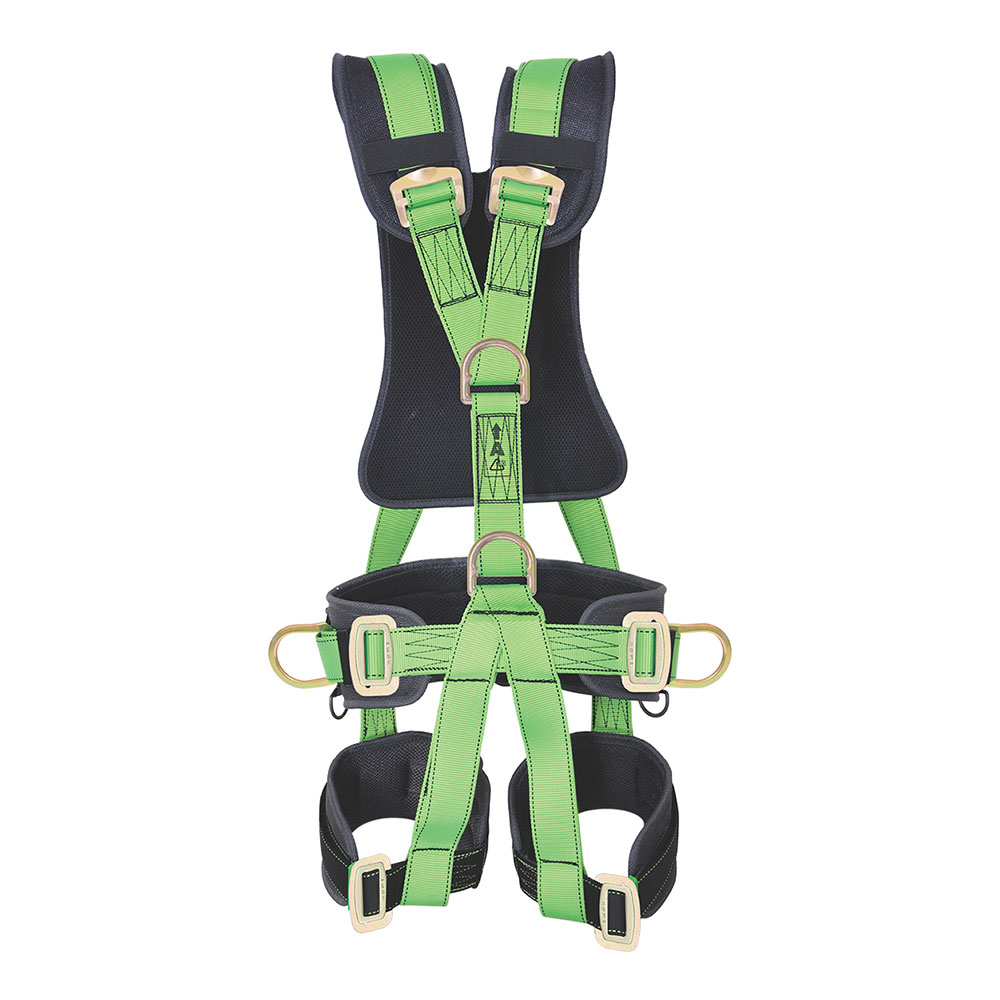 The Importance of Full-Body Harnesses